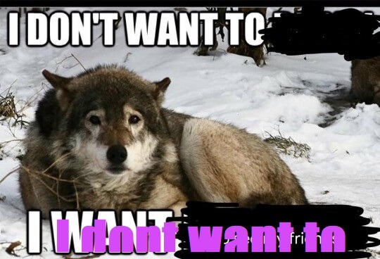 idk man if u call people 'antis' or 'puritans' over boundaries or get a lil too aggro about shipcourse on any factor pls go away lmao